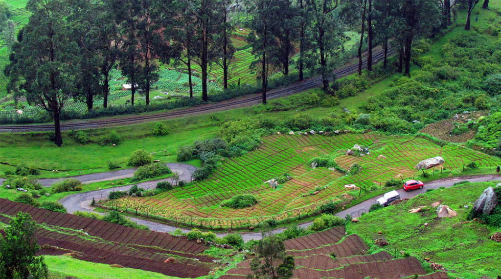 Best Places To Visit In Ooty In Days Taste Of Trip