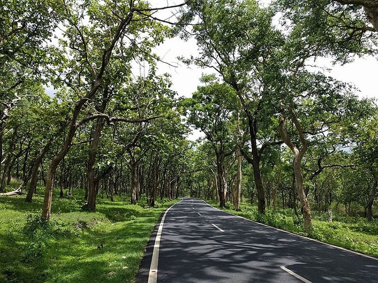 Bandipur Experience Of Jungle Safari 1