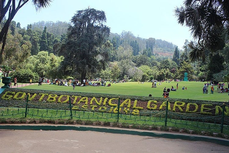 Botanical Garden Ooty 4