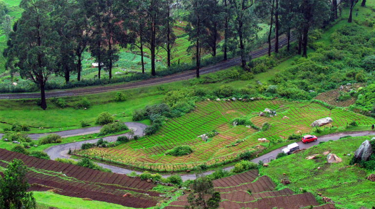 Best places to visit in Ooty in 3 days | Bangalore To Ooty trip