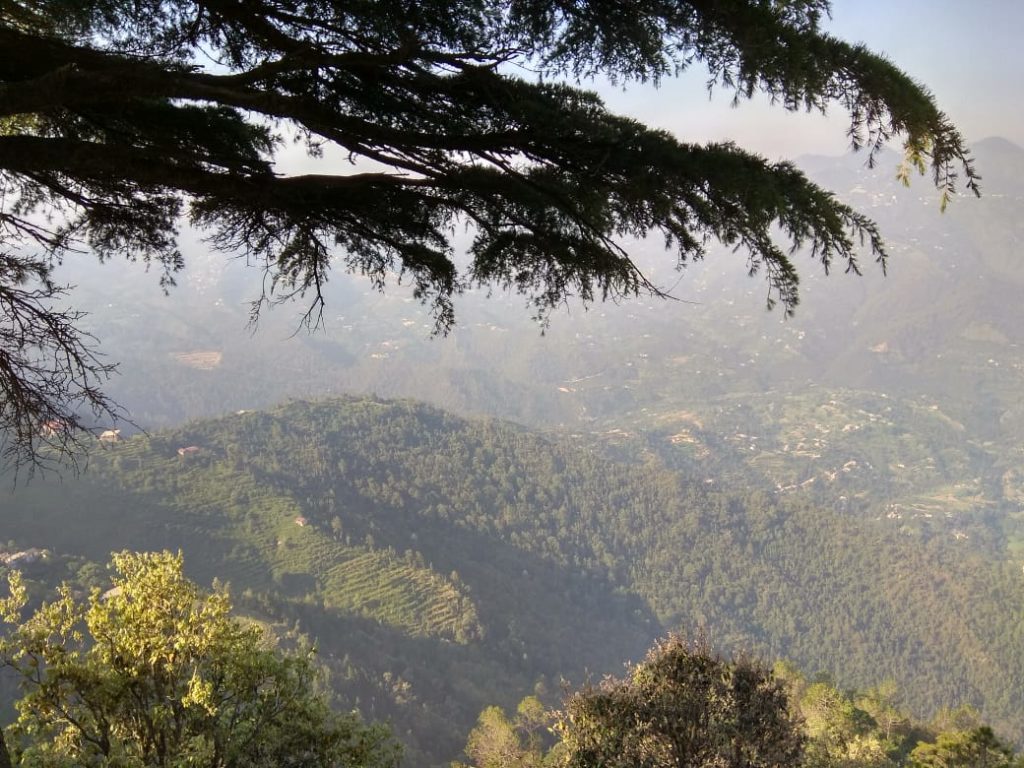 Mukteshwar View