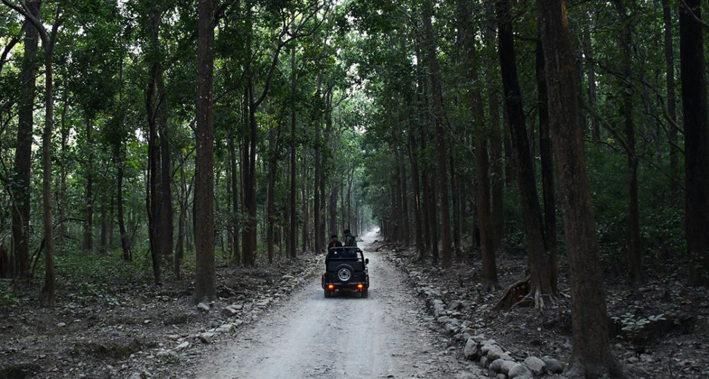 Jim Corbett National Park