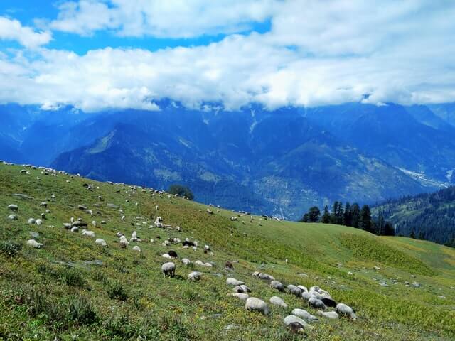 Manali Trip Plan 2