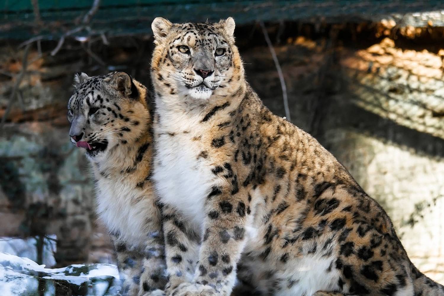 Hemis National Park