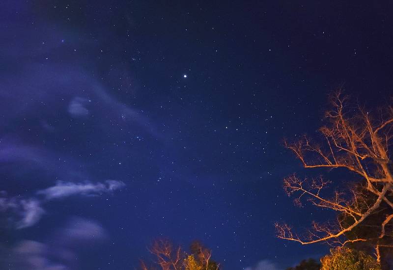 Stargazing In Neil Island Andaman