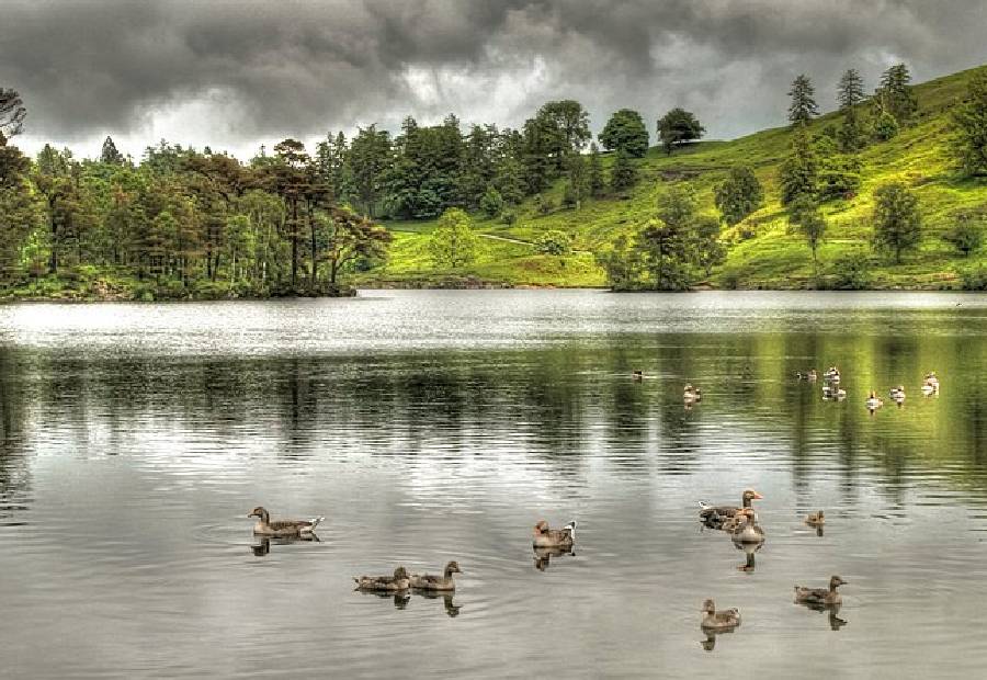 Tarn Hows Lake District