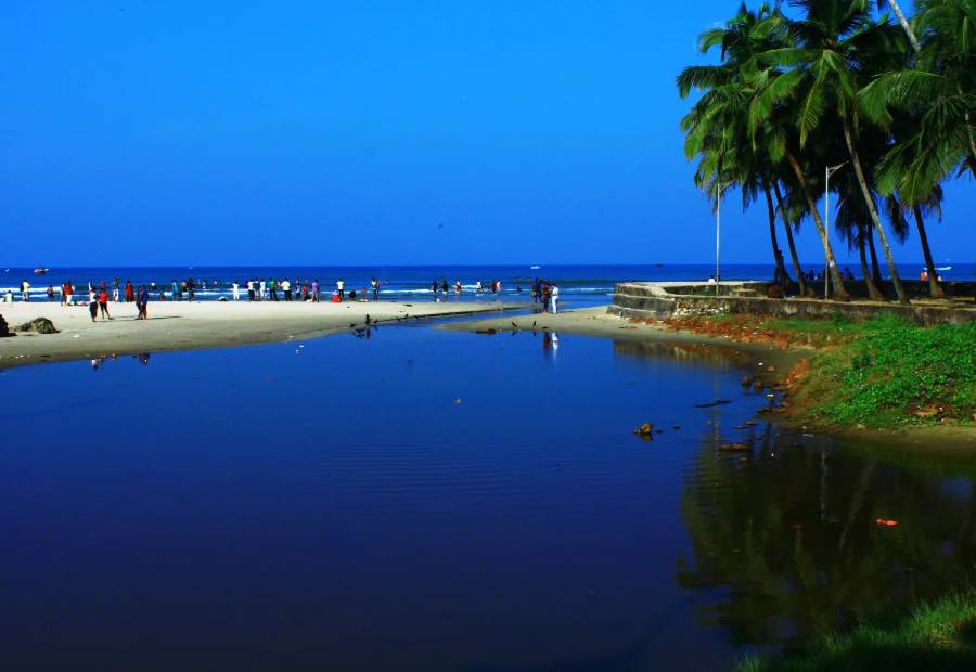 Colva Beach Goa Post Image