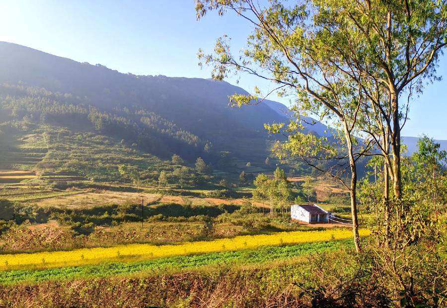 Araku Andhra Pradesh Image