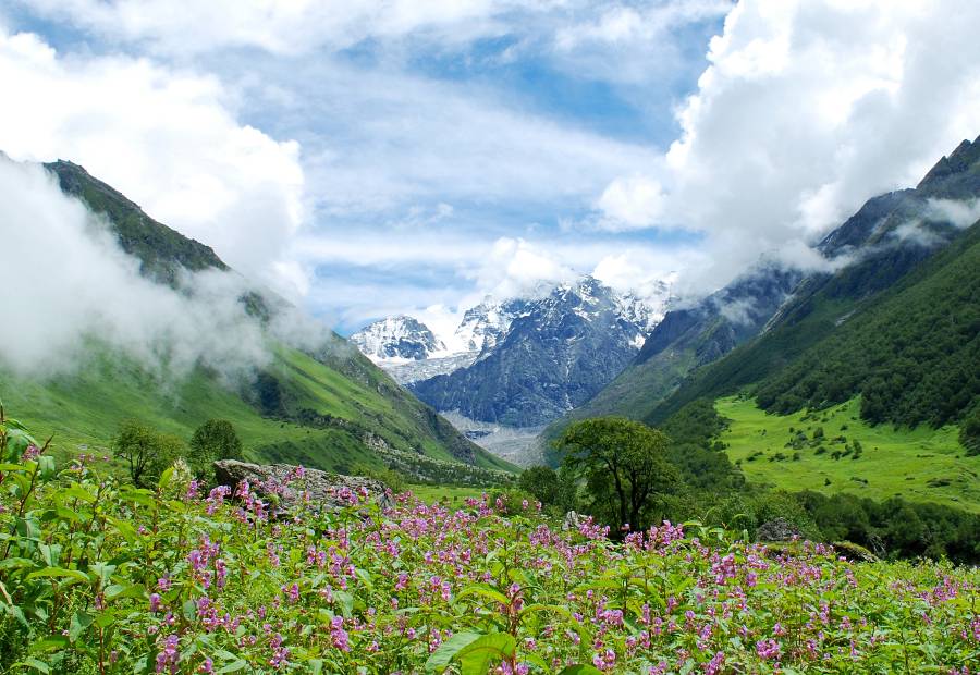 Valley Of Flowers National Park Image
