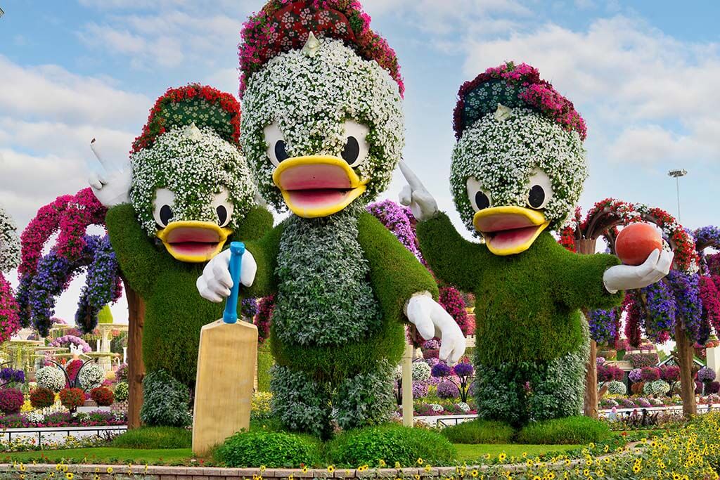 Dubai Miracle Garden Image