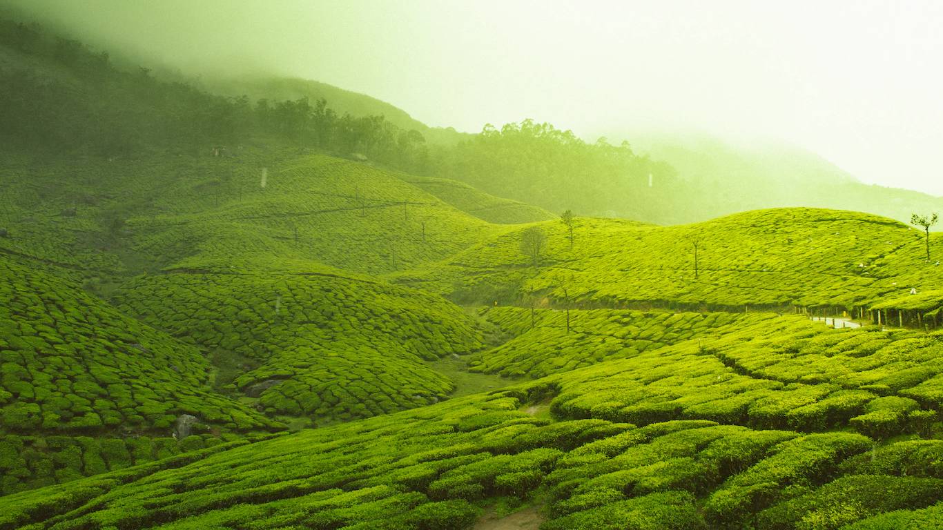 tag-munnar